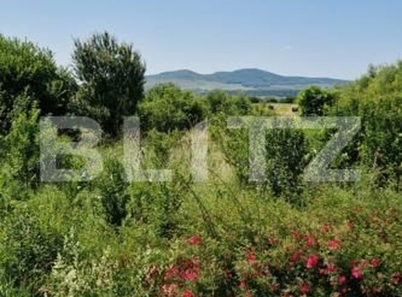 Teren de vânzare Sud - 172273TV | BLITZ Bistriţa | Poza2