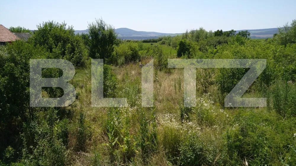 Teren de vânzare Sud - 172273TV | BLITZ Bistriţa | Poza3
