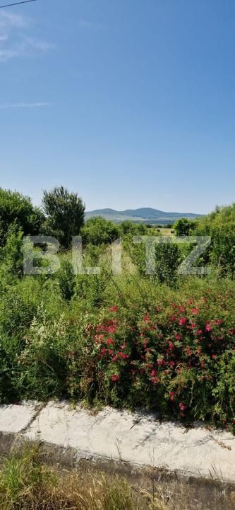 Teren de vânzare Sud - 172273TV | BLITZ Bistriţa | Poza2