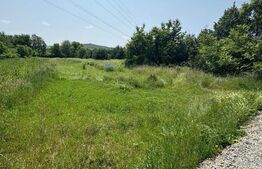 Teren Intravilan de vanzare, 2.200 mp, zona Viisoara