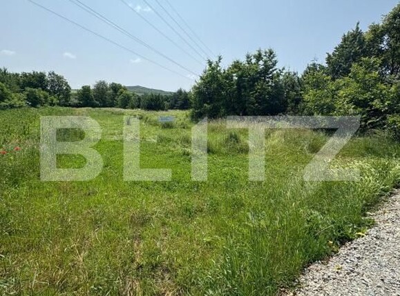 Teren de vânzare Viișoara - 172339TV | BLITZ Bistriţa | Poza4