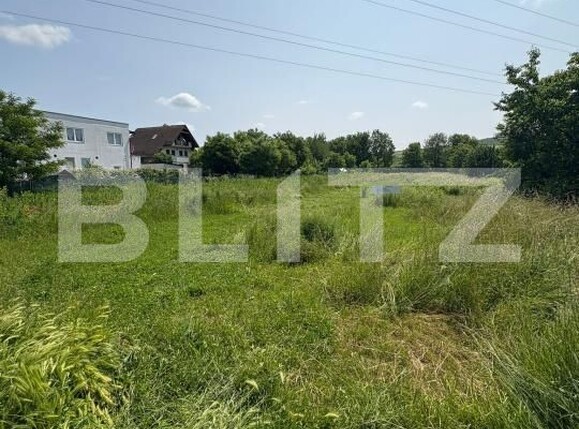 Teren de vânzare Viișoara - 172339TV | BLITZ Bistriţa | Poza3