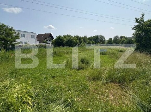 Teren de vânzare Viișoara - 172339TV | BLITZ Bistriţa | Poza2
