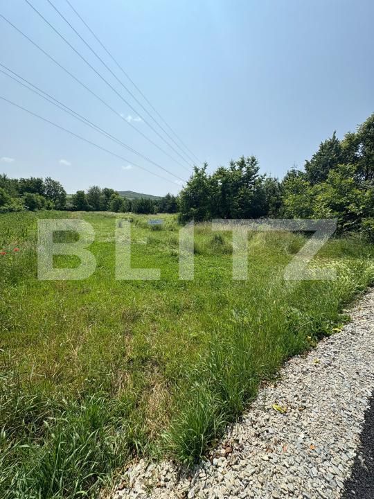 Teren de vânzare Viișoara - 172339TV | BLITZ Bistriţa | Poza4