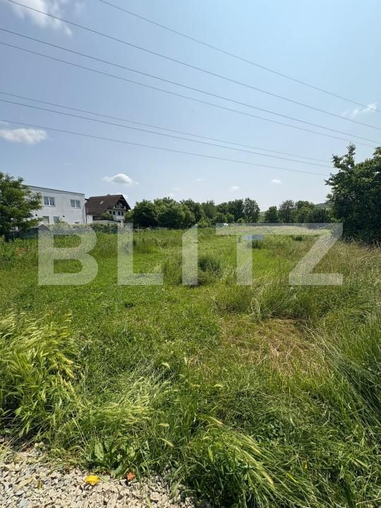 Teren de vânzare Viișoara - 172339TV | BLITZ Bistriţa | Poza3