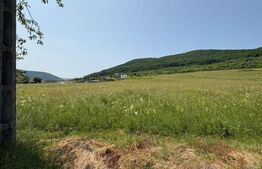 Teren Intravilan,  2.600 mp, zona Metaller, Viisoara