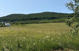 Teren Intravilan,  2.600 mp, zona Metaller, Viisoara