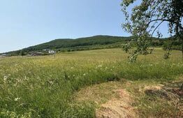 Teren Intravilan,  2.600 mp, zona Metaller, Viisoara