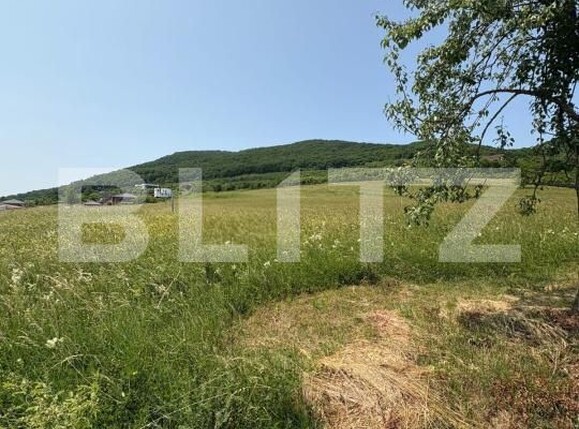 Teren de vânzare Viișoara - 172340TV | BLITZ Bistriţa | Poza2