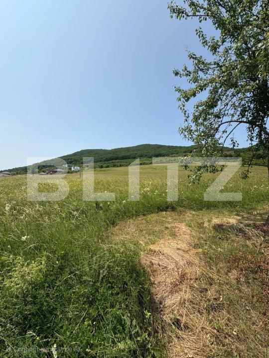 Teren de vânzare Viișoara - 172340TV | BLITZ Bistriţa | Poza2