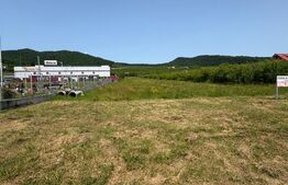 Teren Intravilan, 9.748 mp, zona Viisoara strada principala