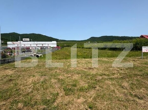 Teren de vânzare Viișoara - 172543TV | BLITZ Bistriţa | Poza3
