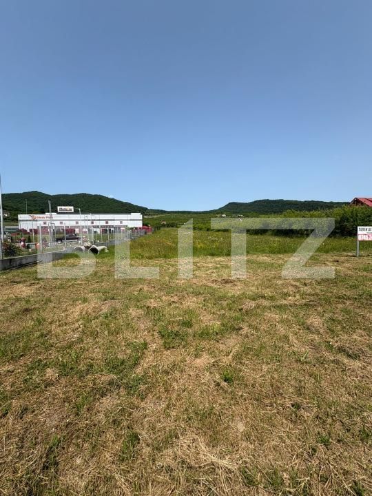 Teren de vânzare Viișoara - 172543TV | BLITZ Bistriţa | Poza3