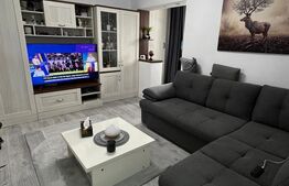 Garsonieră de vânzare – 29 mp, renovată complet, Calea Moldovei