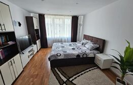 Apartament de vanzare, cu 2 camere, 56 mp, etaj 4, zona Independentei