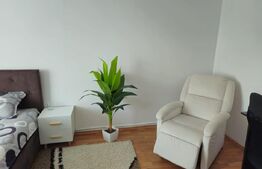 Apartament de vanzare, cu 2 camere, 56 mp, etaj 4, zona Independentei