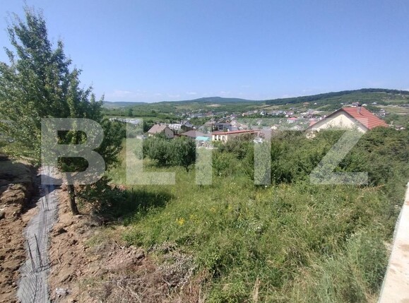 Teren de vânzare Centura - 172662TV | BLITZ Bistriţa | Poza2