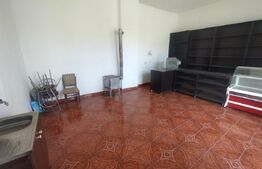 Casa 3 camere, 100mp si spatiu comercial, teren 513 mp, zona Budacul de Jos