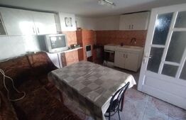 Casa 3 camere, 100mp si spatiu comercial, teren 513 mp, zona Budacul de Jos