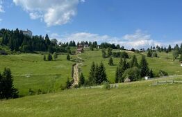 🏞️ Oportunitate de Investiție Unică – Teren 1.800 mp, la 1 km de Hotel Dracula 