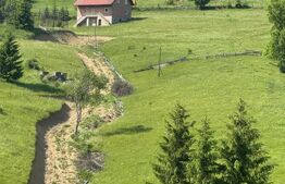 🏞️ Oportunitate de Investiție Unică – Teren 1.800 mp, la 1 km de Hotel Dracula 