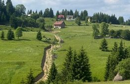 🏞️ Oportunitate de Investiție Unică – Teren 1.800 mp, la 1 km de Hotel Dracula 