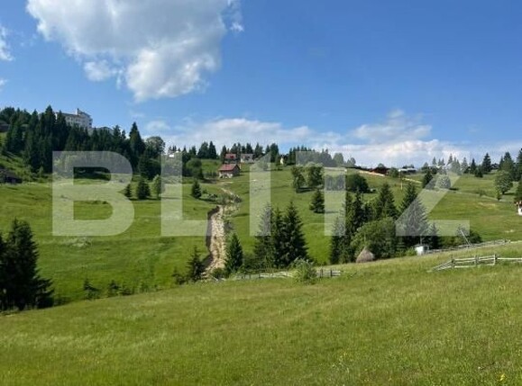 Teren de vânzare Nord - 172710TV | BLITZ Bistriţa | Poza3