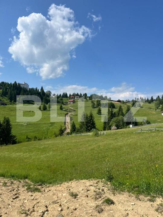 Teren de vânzare Nord - 172710TV | BLITZ Bistriţa | Poza3