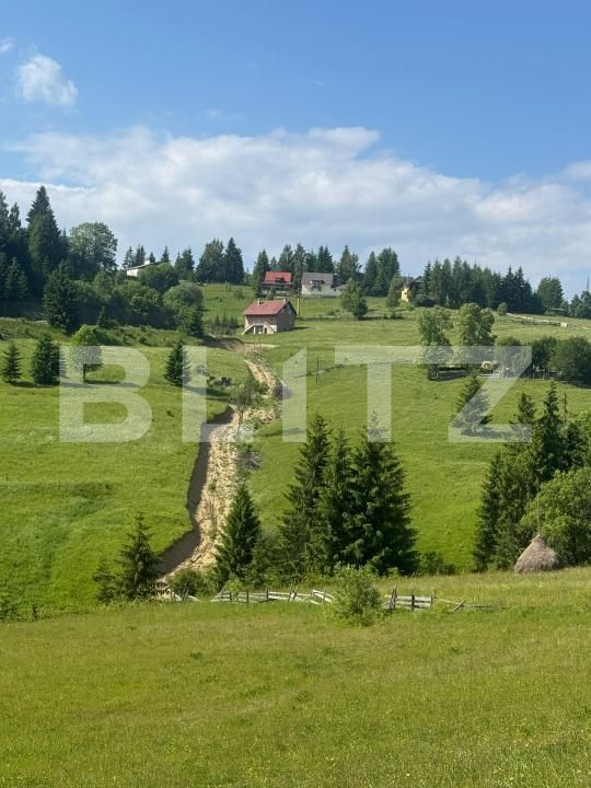 Teren de vânzare Nord - 172710TV | BLITZ Bistriţa | Poza2