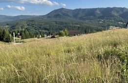 Teren de vânzare – 1251 mp în Colibița, cu panoramă superbă spre munți și lac