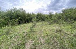 Teren extravilan 5200 mp – Budacul de Jos-  Investiție excelentă!