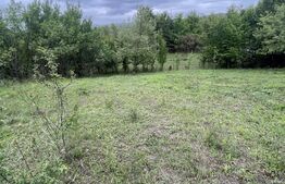 Teren extravilan 5200 mp – Budacul de Jos-  Investiție excelentă!