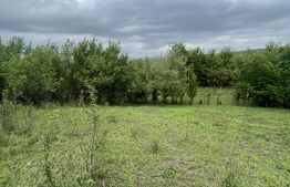 Teren extravilan 5200 mp – Budacul de Jos-  Investiție excelentă!