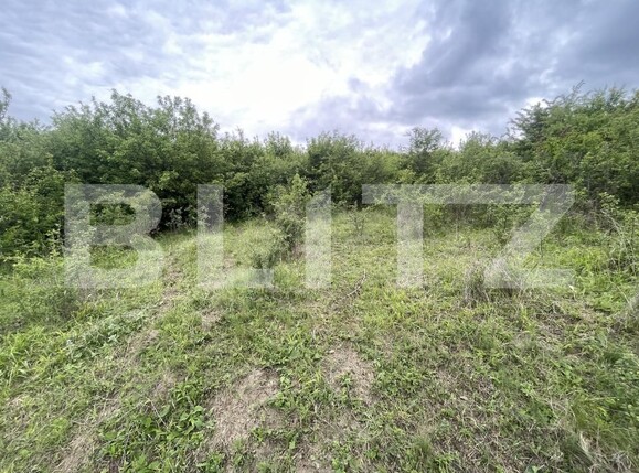 Teren de vânzare Exterior Vest - 172751TV | BLITZ Bistriţa | Poza2