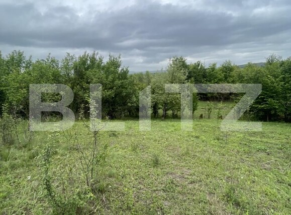 Teren de vânzare Exterior Vest - 172751TV | BLITZ Bistriţa | Poza1