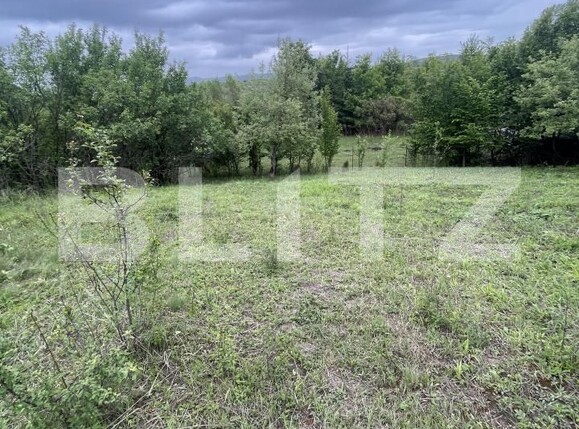 Teren de vânzare Exterior Vest - 172751TV | BLITZ Bistriţa | Poza3