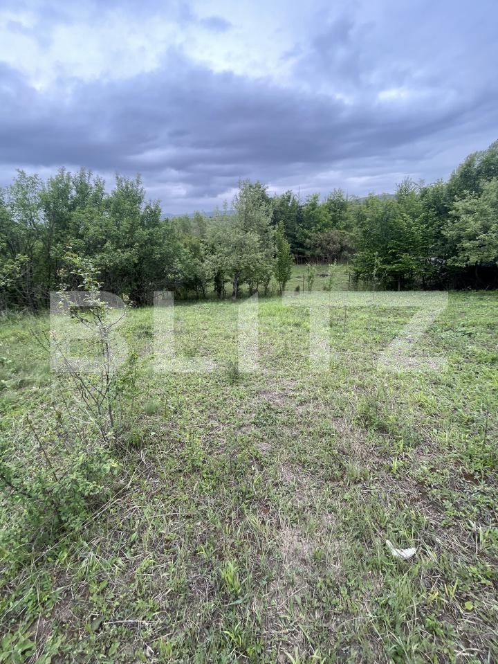 Teren de vânzare Exterior Vest - 172751TV | BLITZ Bistriţa | Poza3