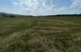 Teren extravilan 1200 mp – Dorolea, aproape de Mănăstire – Investiție excelentă!