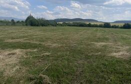 Teren extravilan 1200 mp – Dorolea, aproape de Mănăstire – Investiție excelentă!