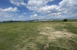 Teren extravilan 1200 mp – Dorolea, aproape de Mănăstire – Investiție excelentă!