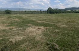 Teren extravilan 1200 mp – Dorolea, aproape de Mănăstire – Investiție excelentă!