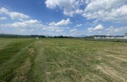 Teren extravilan 1200 mp – Dorolea, aproape de Mănăstire – Investiție excelentă!