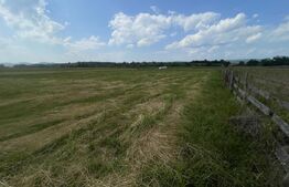 Teren extravilan 1200 mp – Dorolea, aproape de Mănăstire – Investiție excelentă!