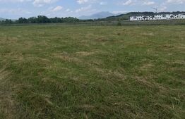 Teren extravilan 1200 mp – Dorolea, aproape de Mănăstire – Investiție excelentă!