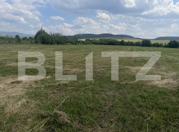 Teren de vânzare Exterior Nord - 172753TV | BLITZ Bistriţa | Poza1