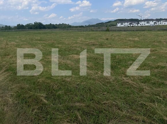 Teren de vânzare Exterior Nord - 172753TV | BLITZ Bistriţa | Poza6