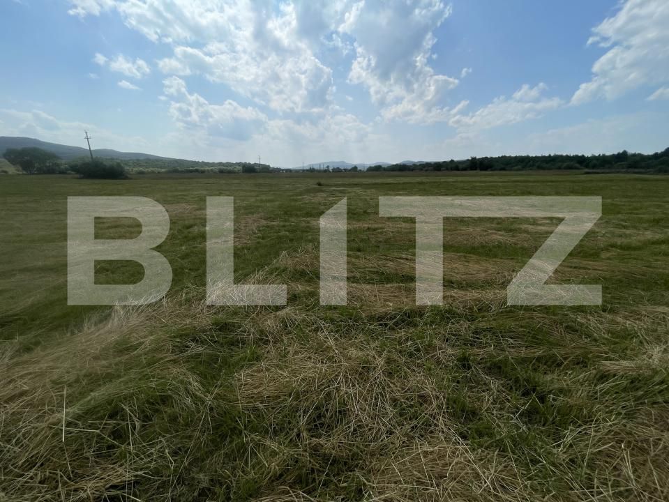 Teren de vânzare Exterior Nord - 172753TV | BLITZ Bistriţa | Poza5