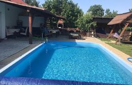 🏡 Casă Modernă cu Piscină, Foișor și Teren Generos-Teaca 