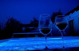 🏡 Casă Modernă cu Piscină, Foișor și Teren Generos-Teaca 