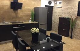 Apartament cu 2 camere, etaj 1, finisaje de lux, zona Decebal